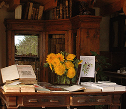 Interno libreria