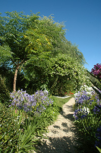 giardino